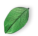 https://forum.abroadsignal.com/wp-content/uploads/2025/07/floating_leaf_01.png